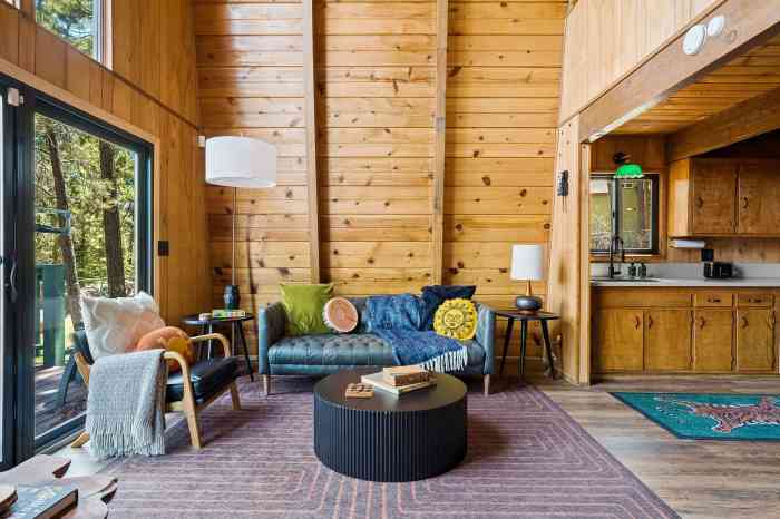15 Modern Cabin Interior Ideas That Are Fresh and Fun